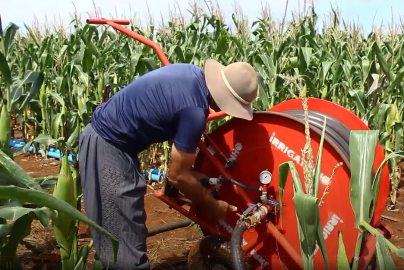 Como implementar um manejo de irrigação eficiente?