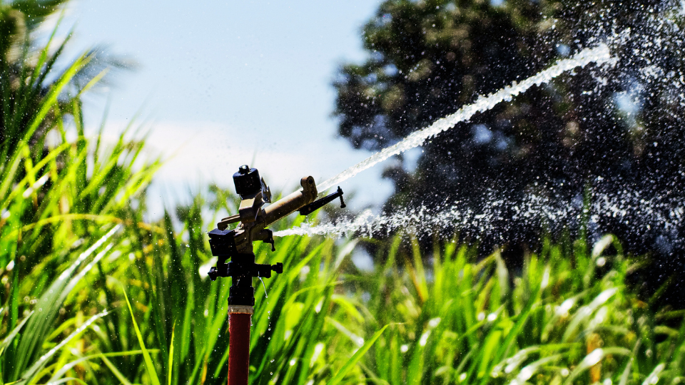 Como escolher seu aspersor de irrigação? 4 fatores importantes