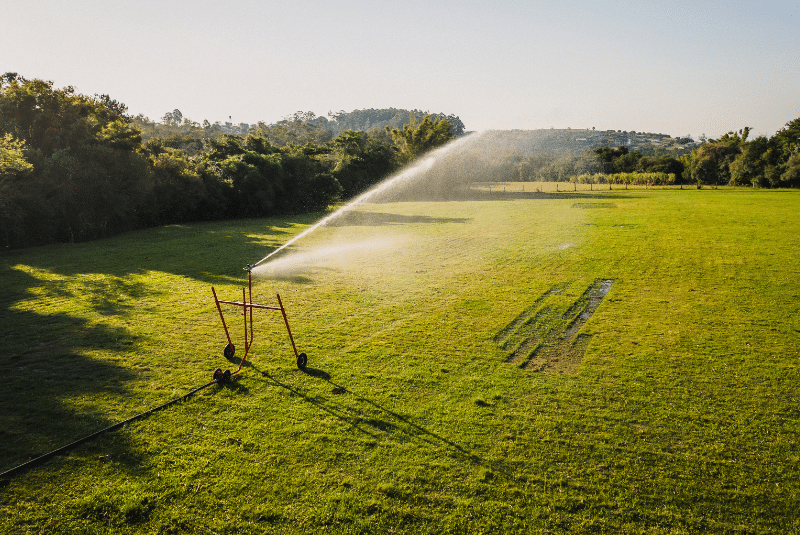 Sistema Irrigat: para quais cultivos é indicado?