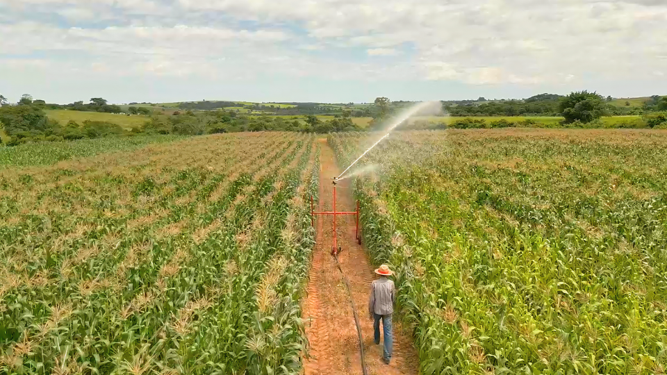 Mitos sobre irrigação: a verdade por trás dos maiores equívocos do produtor rural 1 Mitos sobre irrigação