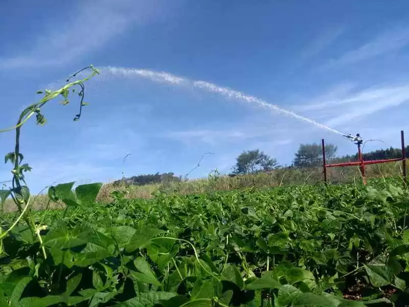Agricultura Irrigada