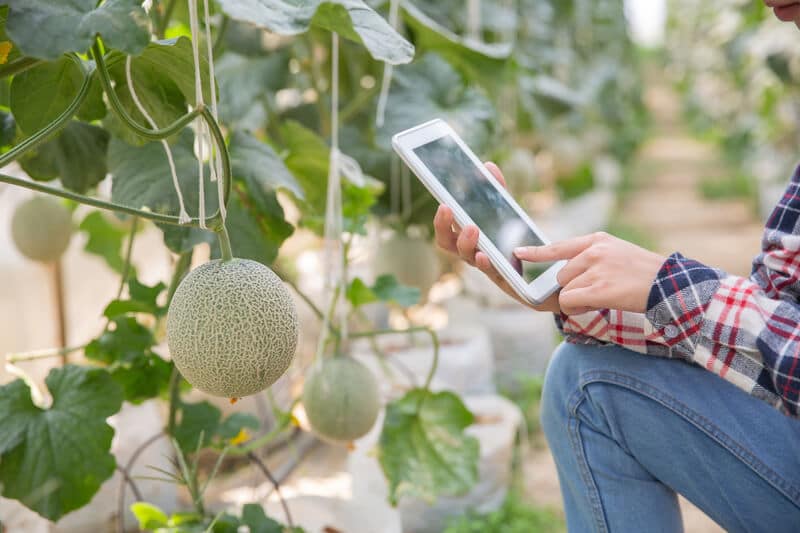 Fazendeiro usando tecnologia para lidar com o campo