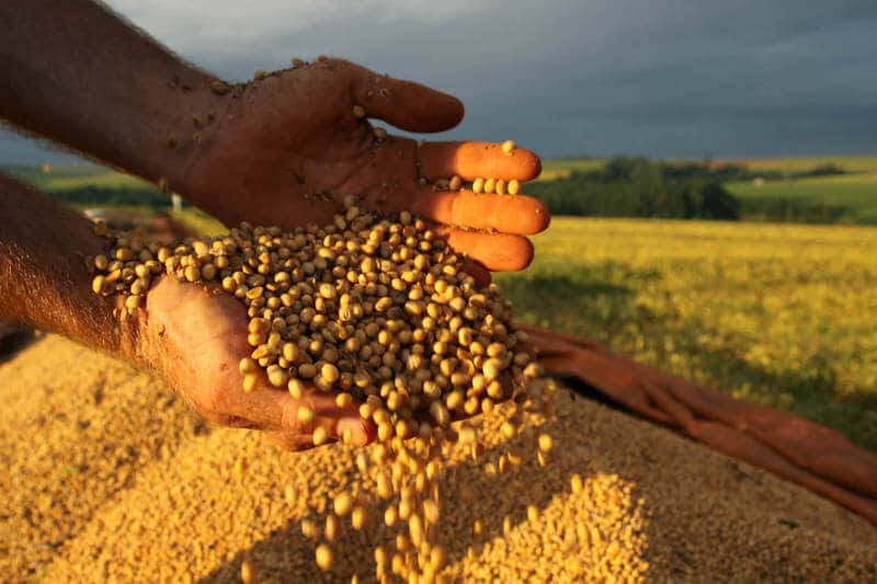 Produção de soja: 04 dicas para aumentar a produção