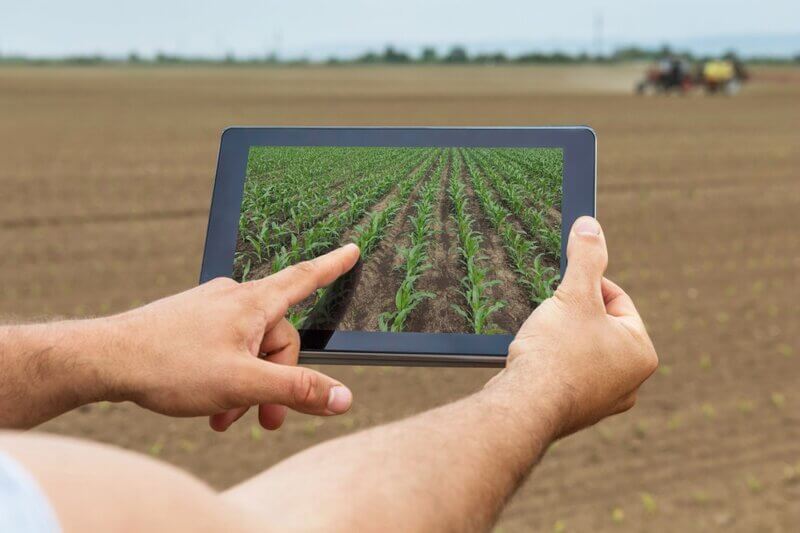 Planejamento agrícola: 5 pilares para começar ou melhorar