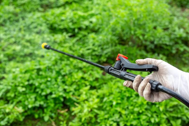 Conheça os mitos e verdades sobre defensivos agrícolas