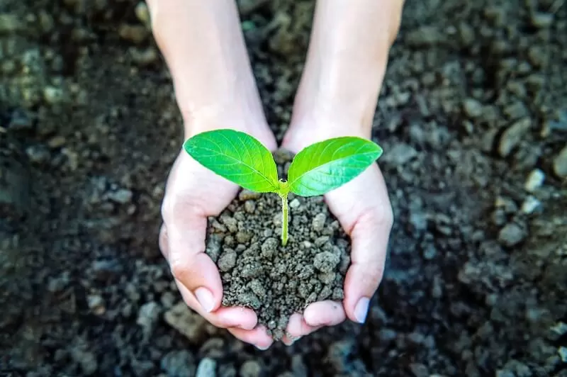 Você conhece a agricultura sustentável? Acesse o conteúdo