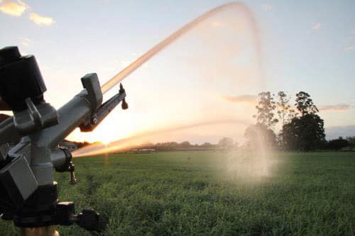 agricultura irrigada