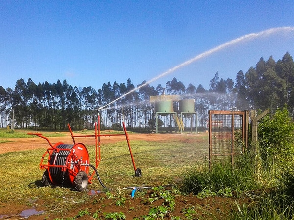 Qual a importância e quais os cuidados com a irrigação no verão?