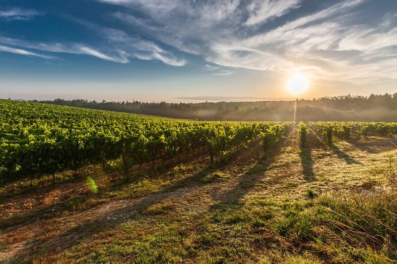 Paisagem de um campo de plantio com pôr-do-sol.