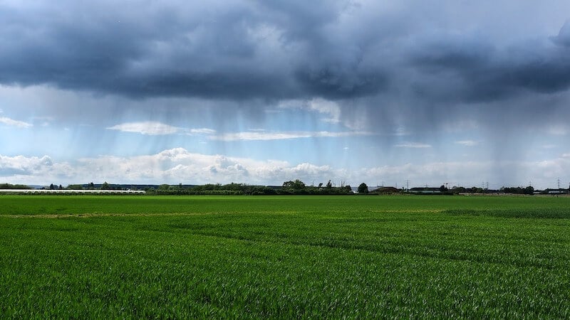 Chuva é uma das principais fontes de reúso da água na agricultura