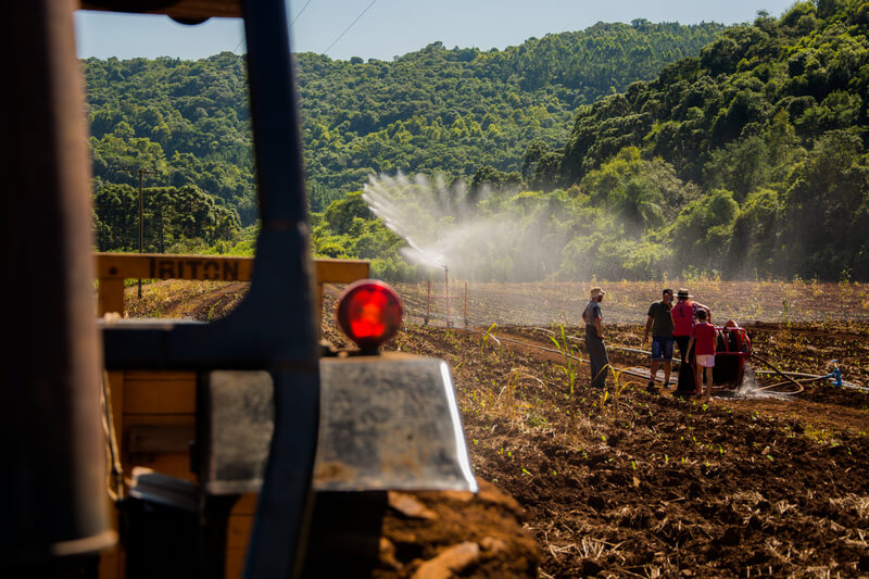 Irrigação agrícola