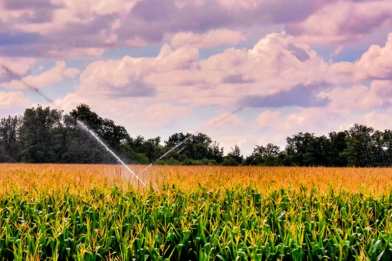 saiba como economizar água na agricultura