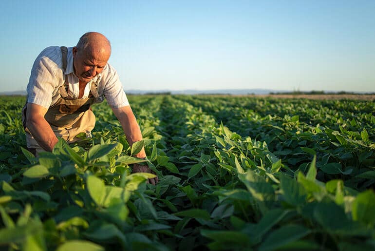 homem mexendo em um plantio mostrando a importância da irrigação