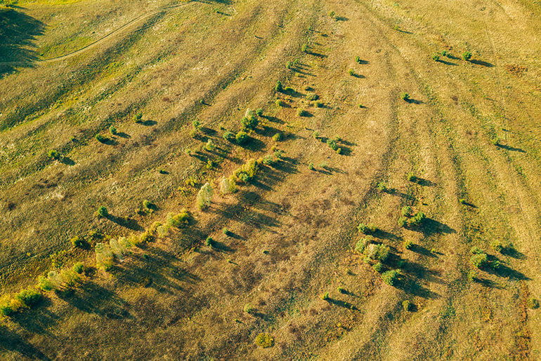 Campo com a pastagem degradada
