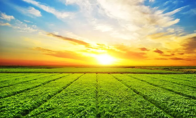 Fazenda ao nascer do sol