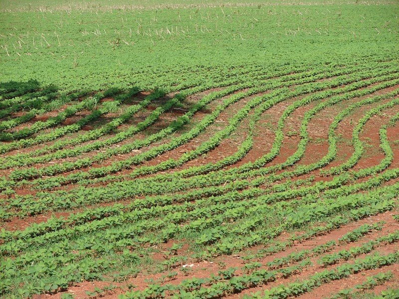 Irrigação no Rio Grande do Sul