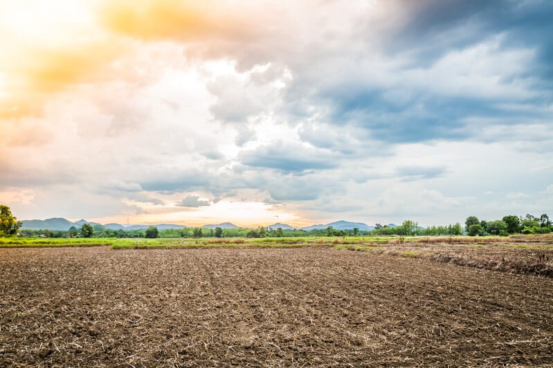 Terra recém mexida com cobertura seca