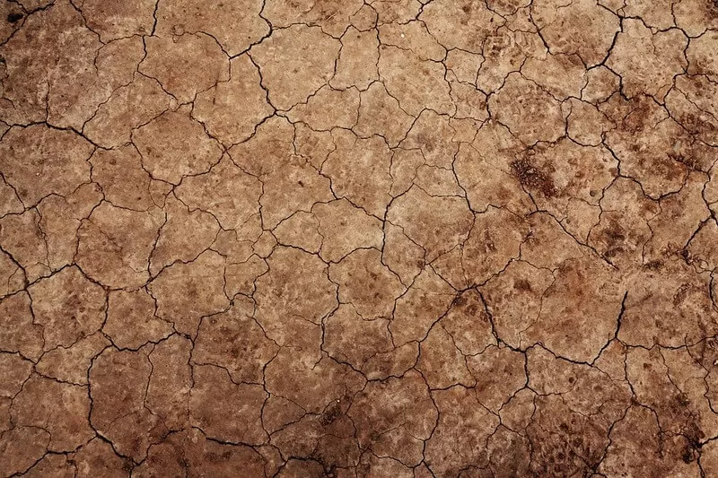 Qualidade do solo: como a irrigação pode ajudar