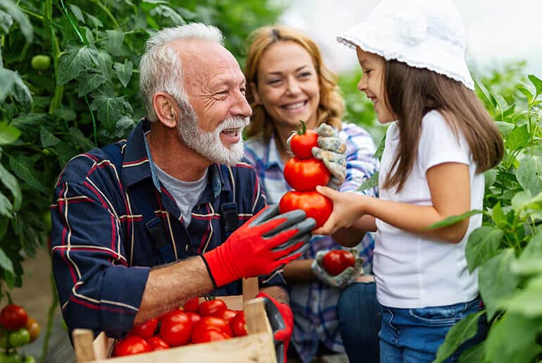 Imagem mostra uma representação de agricultura familiar