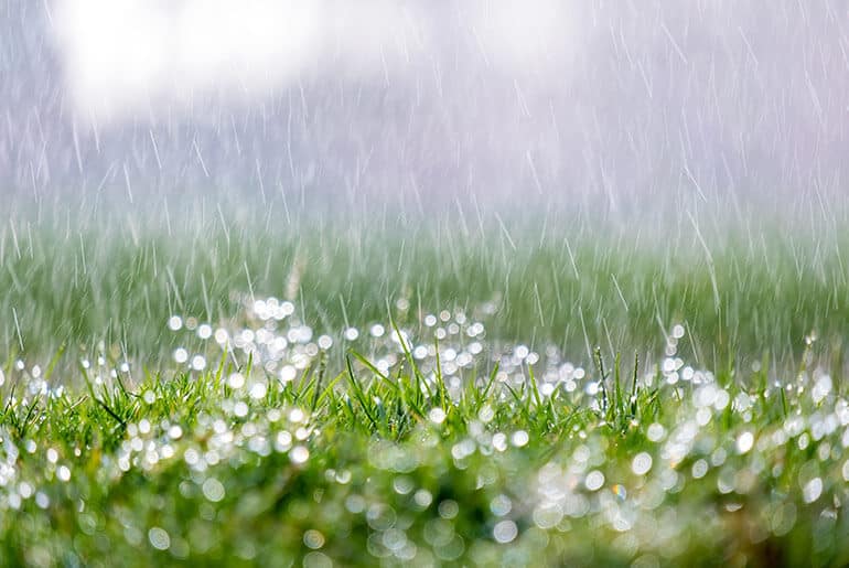 Imagem mostra uma irrigação com água da chuva
