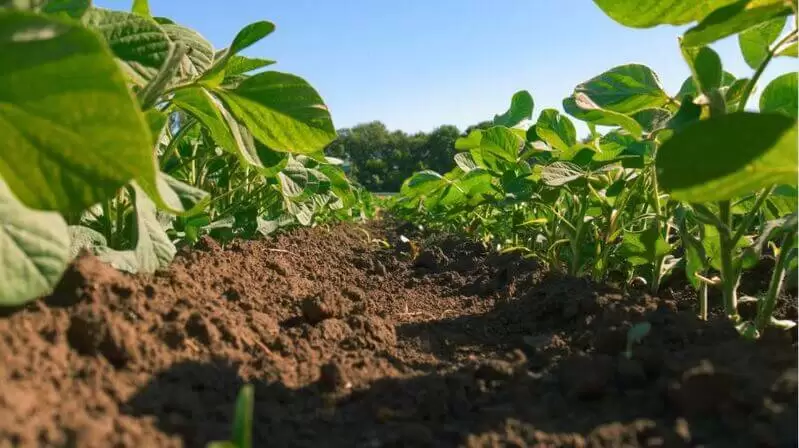 3 formas eficientes de evitar a erosão hídrica causada pela irrigação