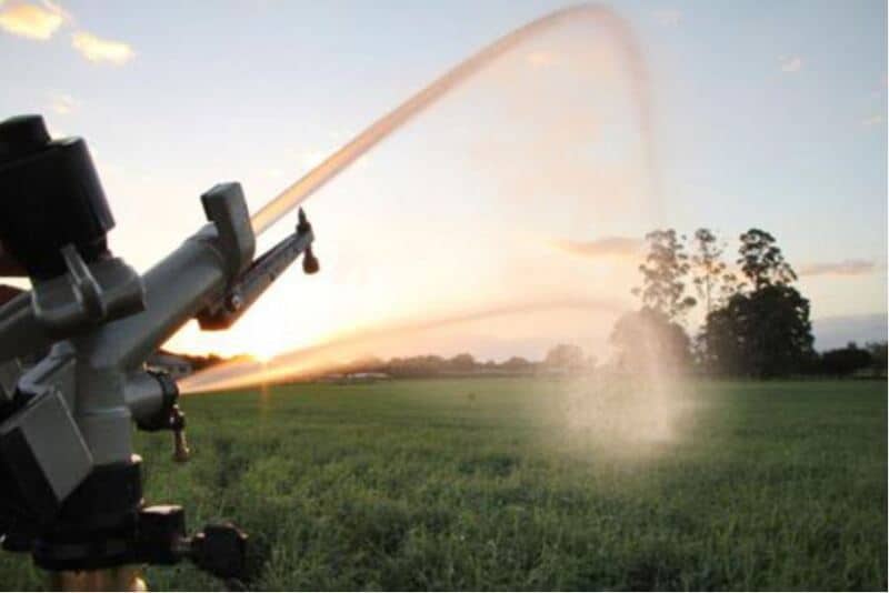 Água para irrigação: qual a quantidade ideal para utilizar?