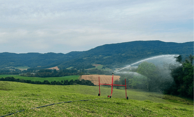 Agricultura de conservação