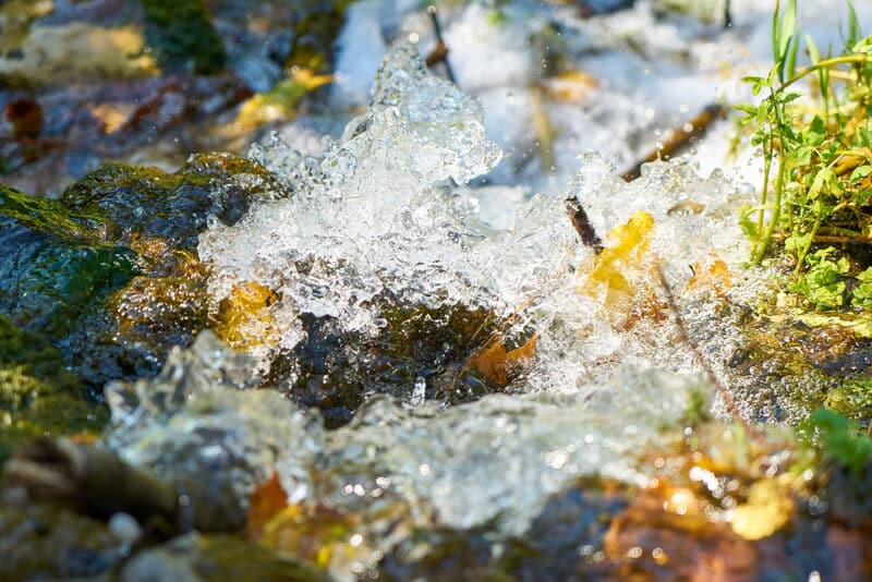 Água de nascentes naturais: alternativa sustentável para irrigação em propriedades rurais