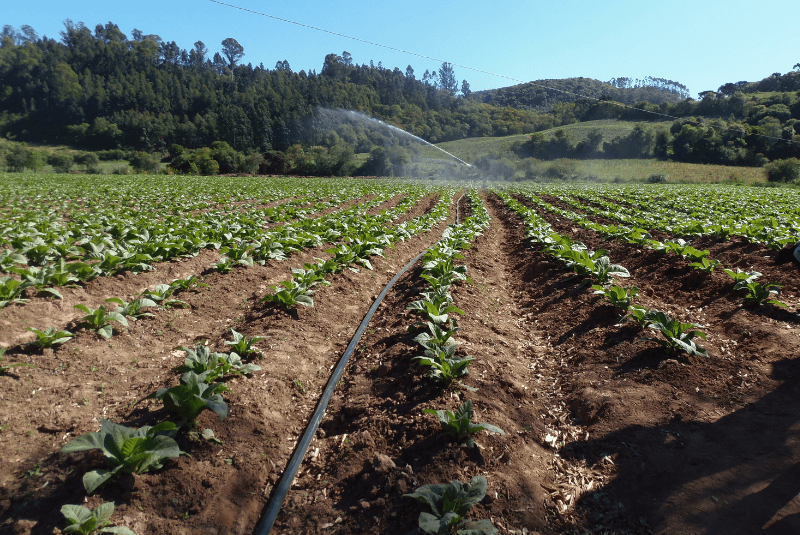 Semeadura de nuvens: como produzir a própria chuva é uma solução para a seca e a estiagem 1 Sistema de irrigação da Irrigat