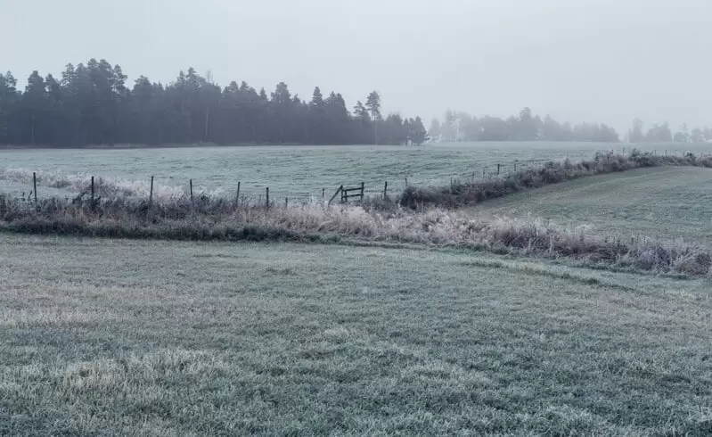 Agricultura no inverno