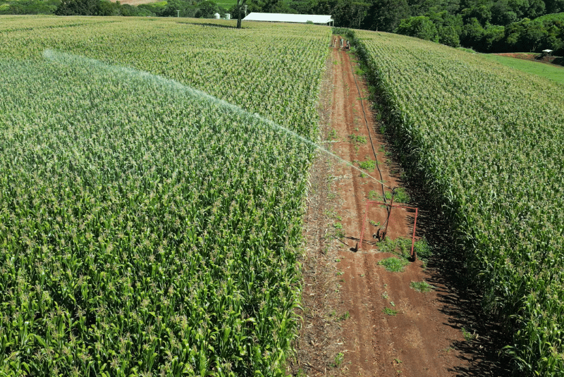 Como funciona a entrega e instalação do sistema de irrigação Irrigat?