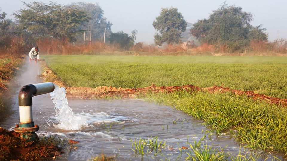 consumo-de-agua-na-agricultura-pode-ser-menor-e-mais-efetivo