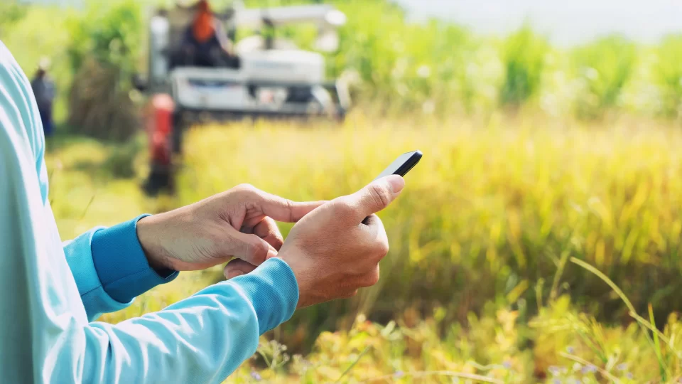 sites-sobre-agricultura