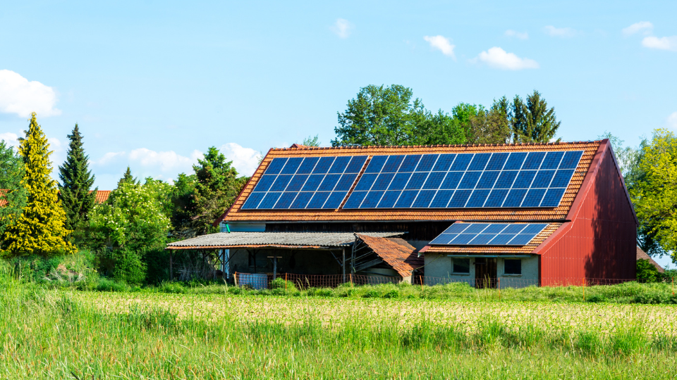 Propriedade rural sustentável: 03 dicas importantes