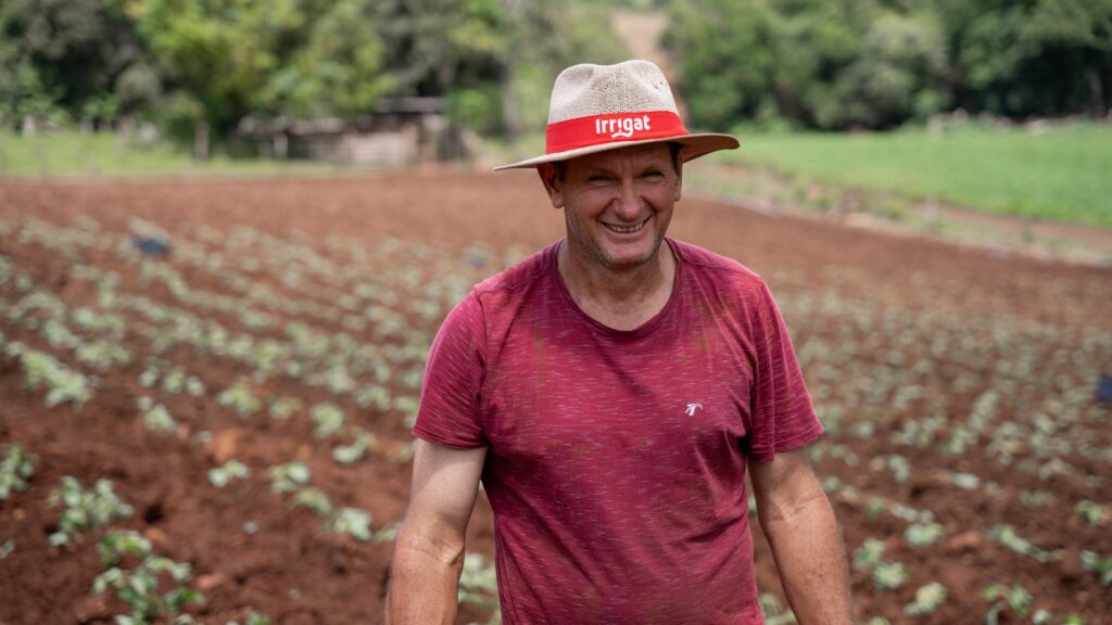 Irrigação de batata doce conheça o produtor que teve aumento de 20 a 30% na produção