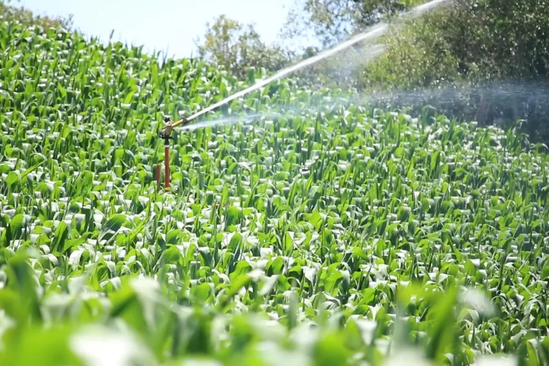 Como aumentar a pressão da água para irrigação
