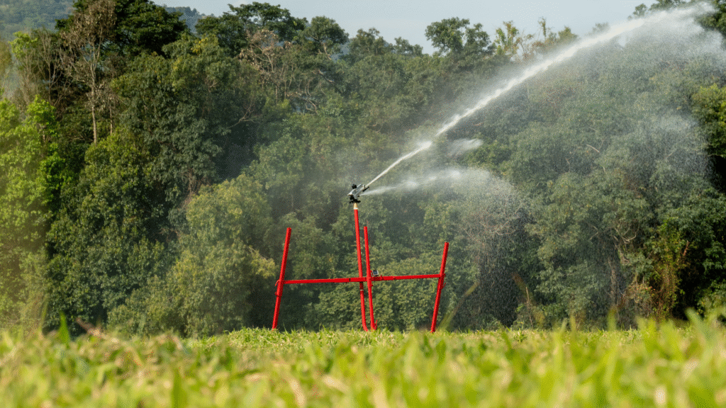 Melhor época para adotar um sistema de irrigação