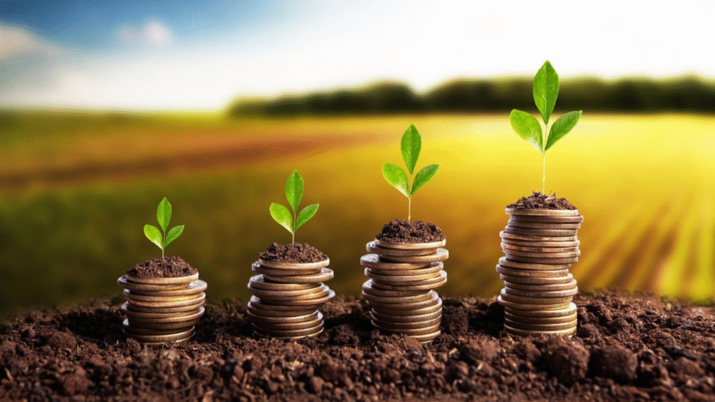 financiamentos agrícolas