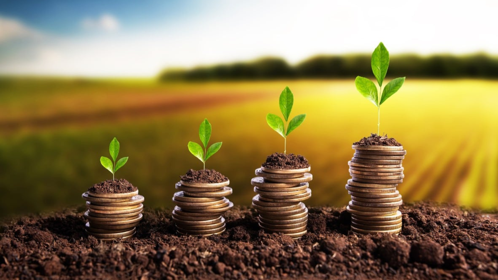financiamentos agrícolas