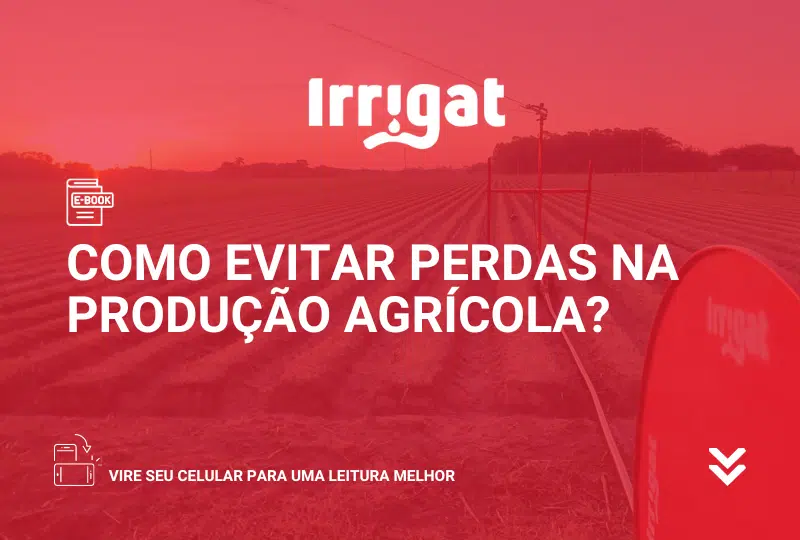 E book 09 Viabilidade do sistema de irrigacao via carretel em pequenas propriedades familiares do Rio Grande do Sul.png