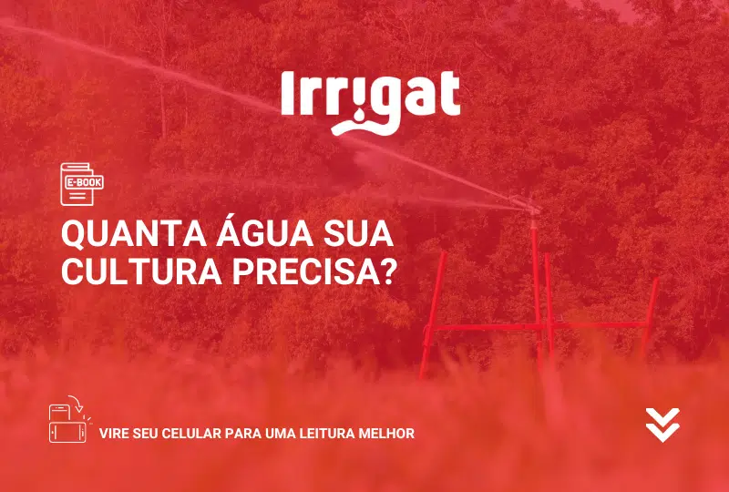 E book 12 Quanta agua sua cultura precisa.png