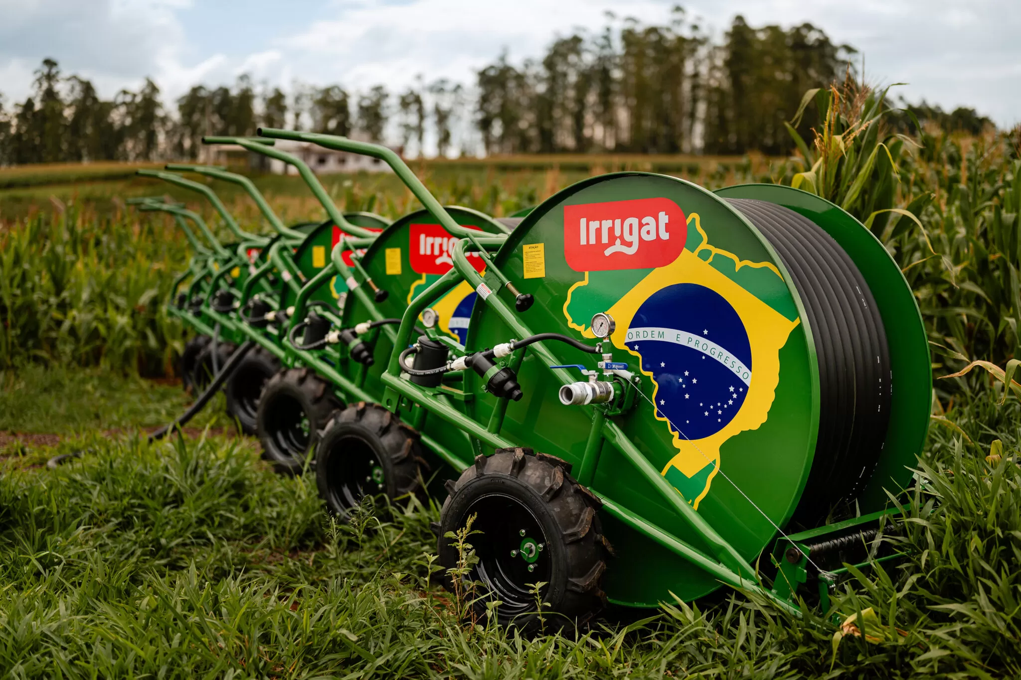MS Producao Irrigat 205
