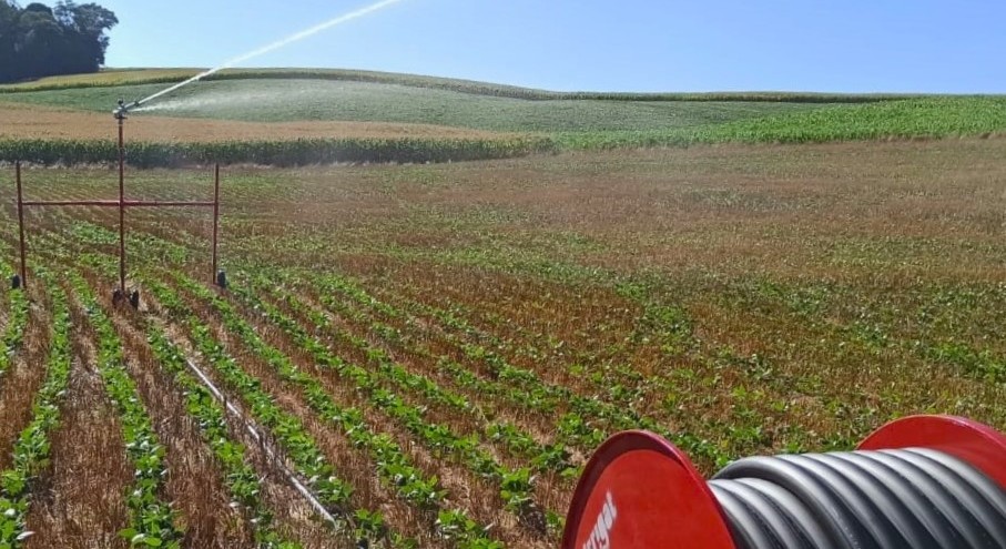 Colheu o milho? Entenda por que a soja vem logo em seguida 2 Carretel redmi Copia 4