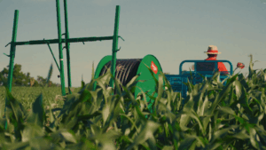 Seis pontos essenciais para uma irrigação funcionar com excelência 1 VERSAO 2026 300x169 2