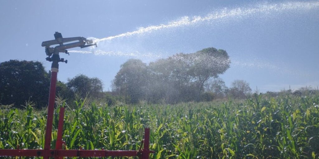 Colheu o milho? Entenda por que a soja vem logo em seguida 1 WhatsApp Image 2022 08 31 at 08.27.41 3