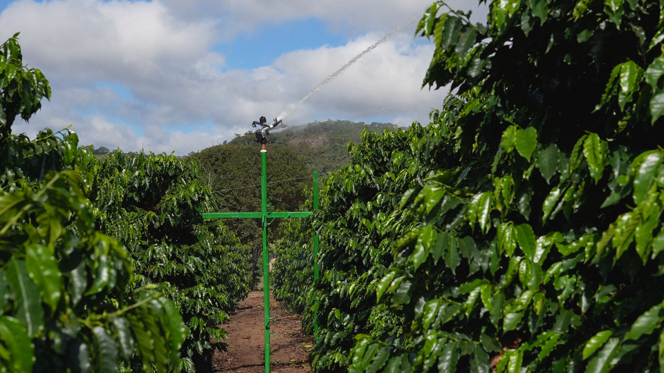 irrigação eficiente
