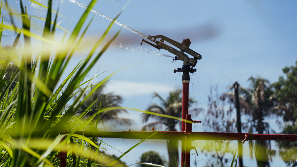 Irrigação por aspersão: como funciona, como ajustar corretamente e para quais culturas é mais indicada 4 Aspersor