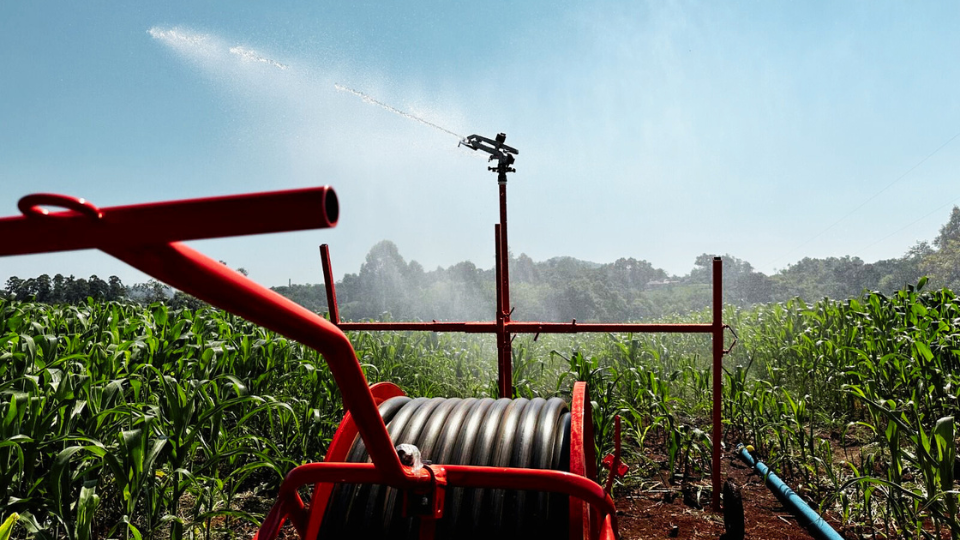 Aumente a produção rural mesmo em climas quentes e secos