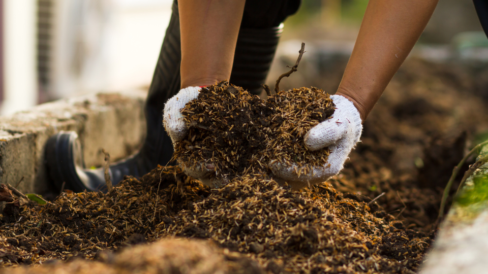 Como a compostagem pode fortalecer e reabastecer o solo