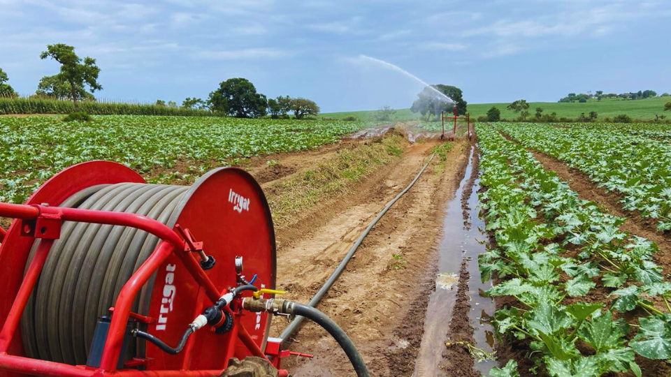 Como aproveitar o Plano Safra 20242025 para investir em um sistema de irrigação